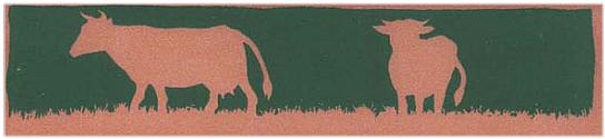 205-468A Corral Gres